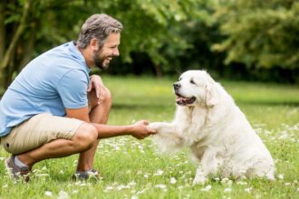 Egy férfi és egy golden retriever kutya barátságos pillanatban, zöld fűben.