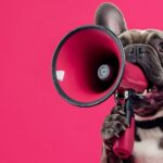 Egy aranyos kutya néhány vicces videónak köszönhetően néhány hét alatt több százezer követőt szerzett az Instagramon. Gazdája szerint a négylábú nemcsak szórakoztat, hanem jókedvet is hoz a mindennapokba.