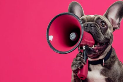 Egy francia bulldog áll egy rózsaszín háttér előtt, miközben egy piros megafont tart a szájában.