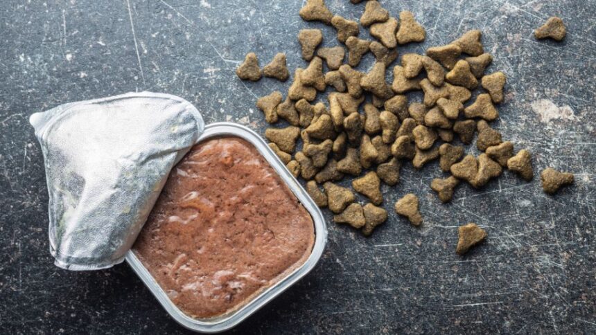 Egy tálca macskaeledel, mellette száraz tápok hegyekben.