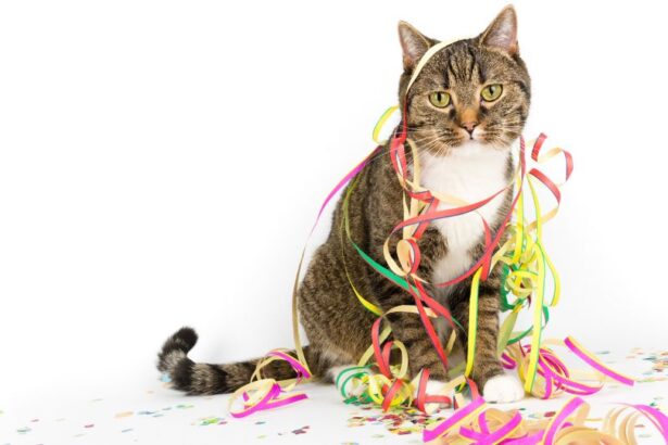 Az internet népe imádja a macskás tartalmakat: Grumpy Cat morcos arca pillanatok alatt mémmé vált, de rajta kívül is számtalan cica hódította meg a világhálót. Mitől lettek a macskák ilyen népszerűek online? Ennek jártunk utána.