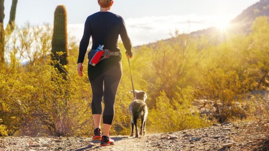 Egy nő kutyájával sétál a naplementében, gyönyörű természetben.