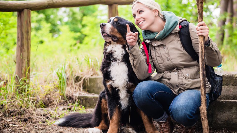 Egy nő és egy kutya pihennek a természetben, a nő mosolyogva mutat az égre.