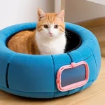 Egy aranyos macska ül egy kényelmes, kék fekhelyen, amely biztonságot nyújt számára.