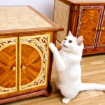 Egy fehér macska a bútor oldalán kaparászik, miközben a szobában áll.